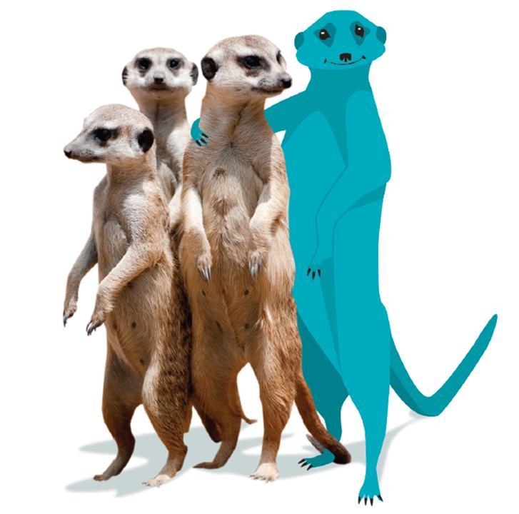 Technology exhibition: Meerkats and Avatars Cambridge technology PR event