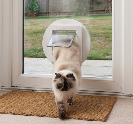 SureFlap-Pet-Door_lowres