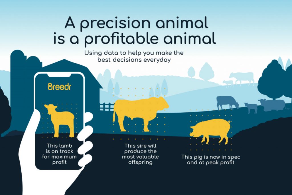Breedr precision animal graphic Breedr precision animal graphic